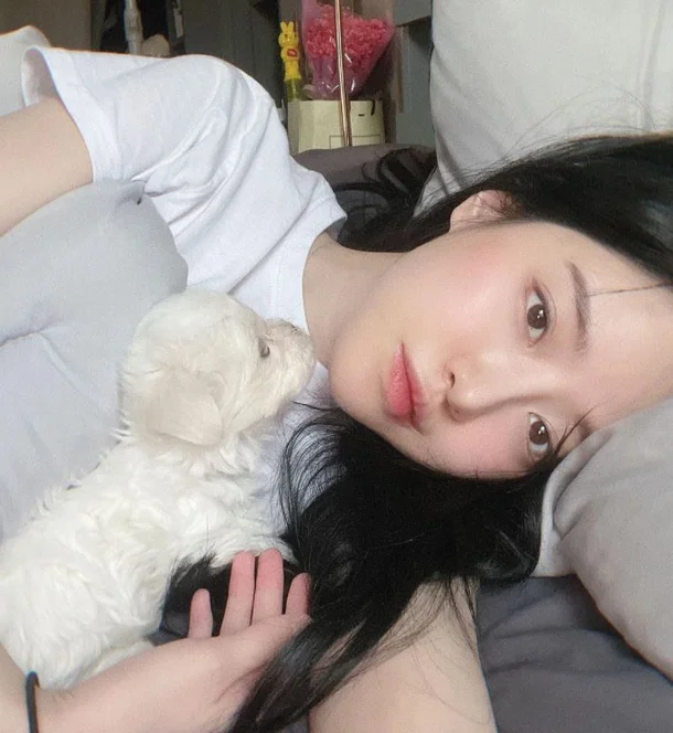 BJ박삐삐 반려견