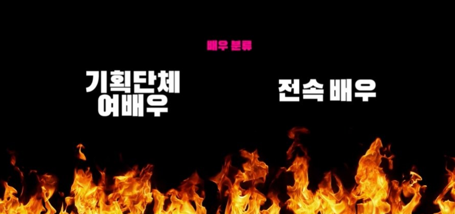 AV배우의 소속 분류