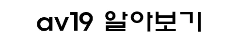 av19 알아보기