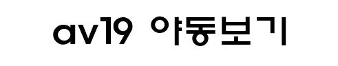 av19 야동보기